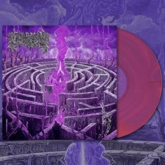 Civerous - Maze Envy LP