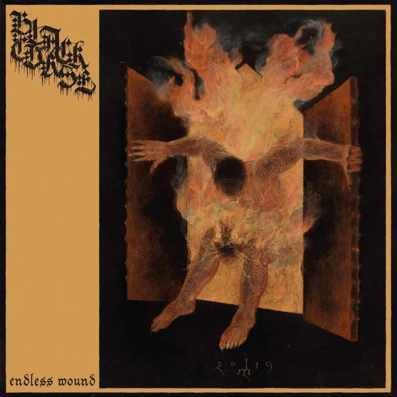 Black Curse - Endless Wound LP